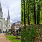 The beauty of Louisiana