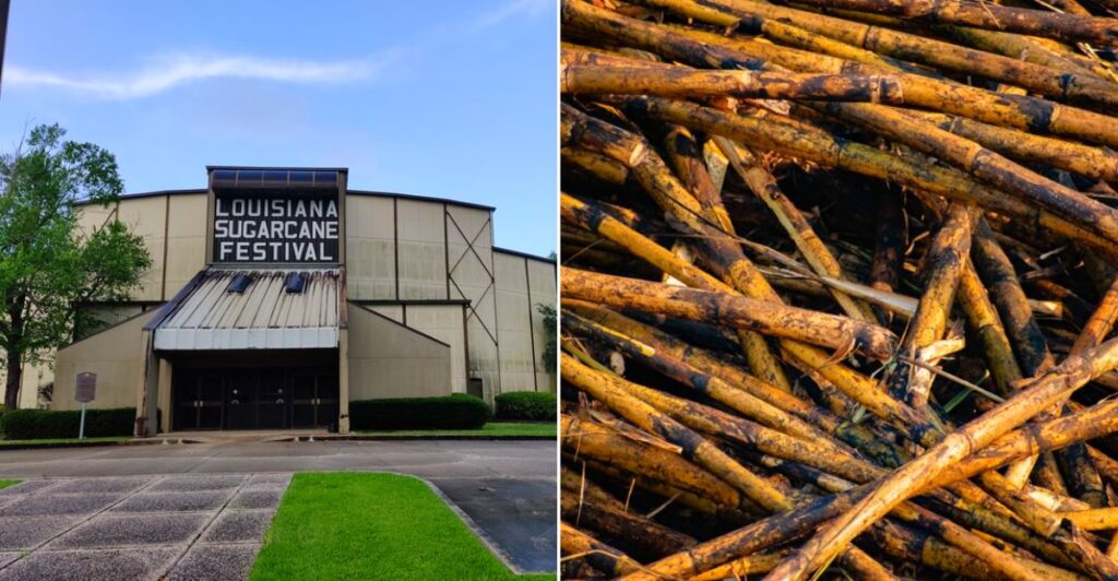 Louisiana Sugar Cane Festival & Fair