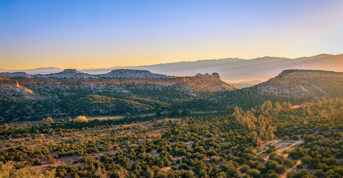 9 New Mexico Fire Towers And Lookout Stops With Views That Are Worth Every Step Up