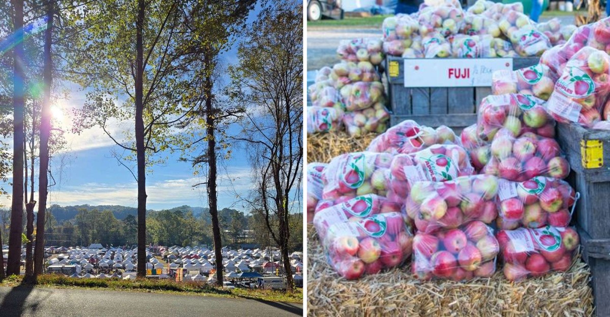 This Small Georgia Town Hosts One Of The State’s Biggest Apple Festivals Every Fall