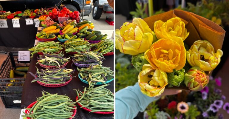 This Wisconsin Small Town Has A Saturday Farmers Market Worth Driving Across County Lines To Browse