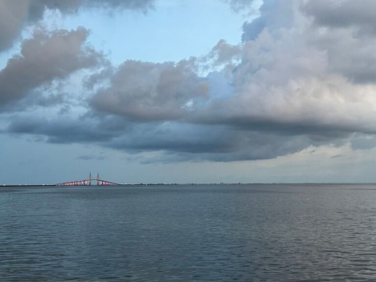 9 Florida Scenic Drives Where the Coast Rolls Past Your Window for Miles