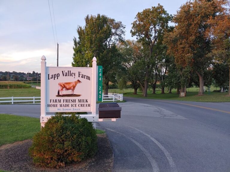 8 Pennsylvania Creameries Where the Cows Graze Right Outside the Scoop Window