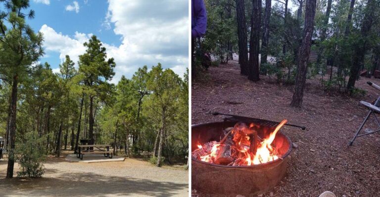 This Breathtaking New Mexico State Park Feels Like A Mountain Getaway Straight Out Of A Postcard