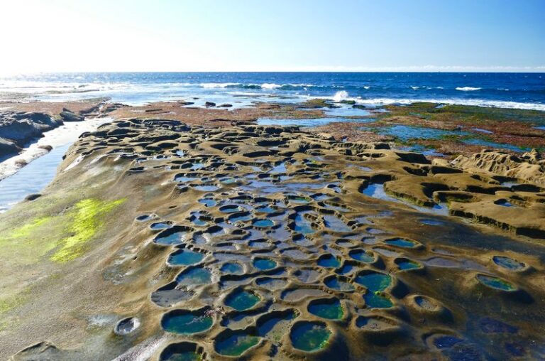 7 California Tide Pools Where You’ll Spot Starfish And Anemones At Low Tide