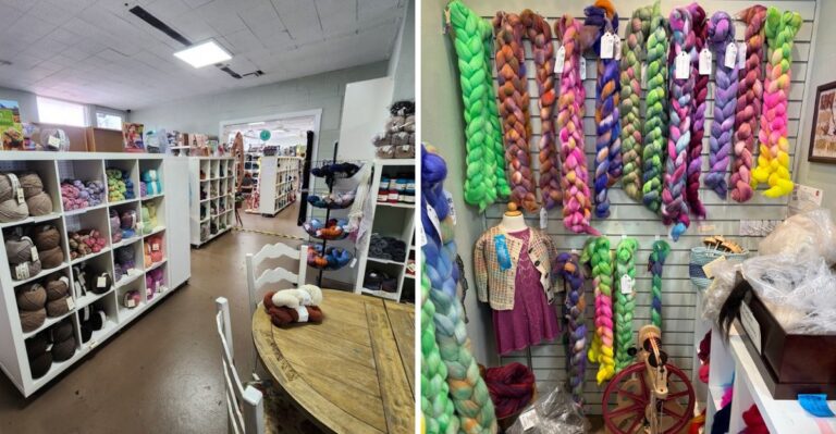 This New Mexico Yarn Shop Keeps Knitters Browsing Far Longer Than Planned