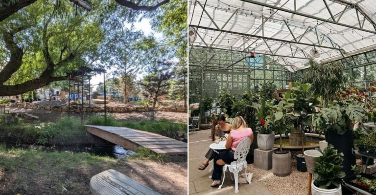 This Utah Greenhouse Café Turns Brunch Into A Fall Escape Led By An Award-Winning Chef