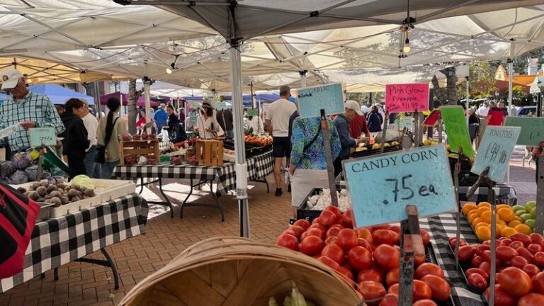 9 Florida Farmers Markets Where You Can Fill a Basket With Just-Picked Produce