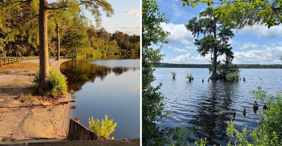 This Tiny North Carolina State Park Hides A Lake Beach So Pretty It Catches First-Time Visitors Completely Off Guard