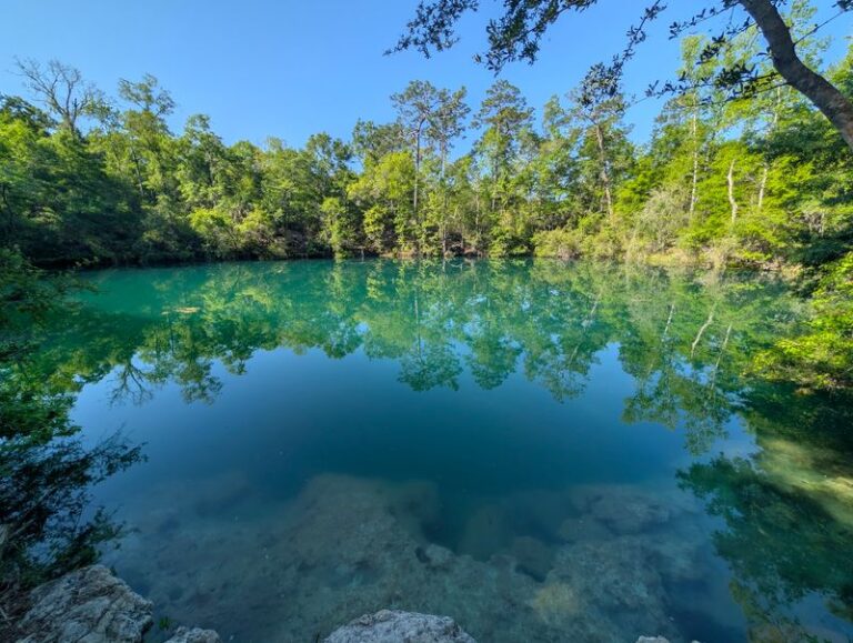 9 Florida Trails Where You Can Hike Down Into a Hidden Sinkhole or Ravine