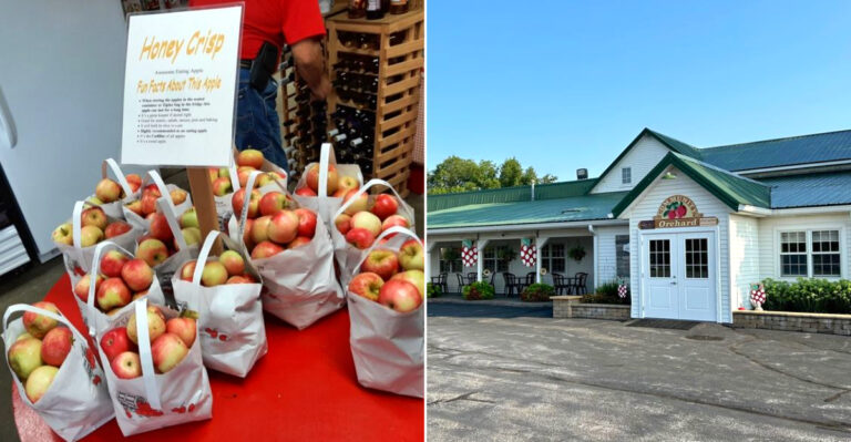 12 Iowa Apple Donut Stops Perfect For A Sweet September Road Trip