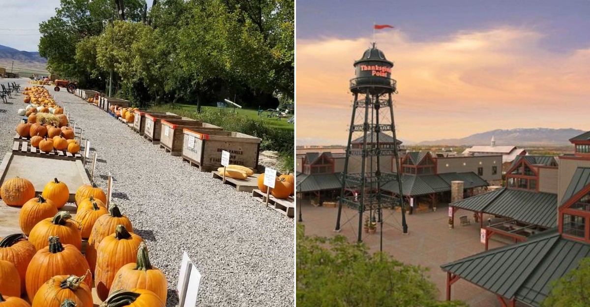 13 Utah Harvest Festivals Worth Planning A September Road Trip Around In 2026