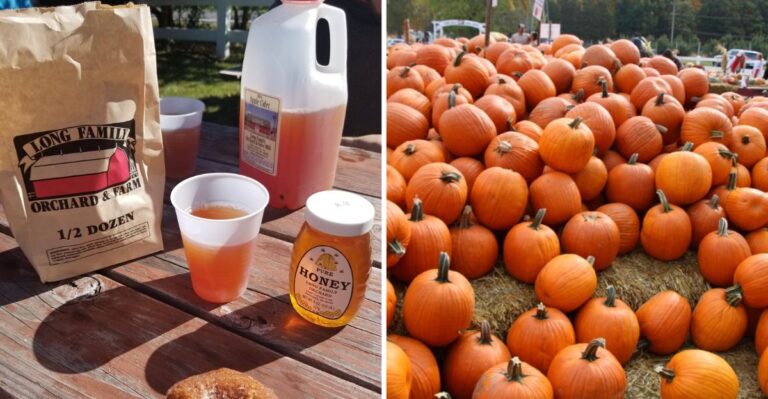 This Michigan Cider Mill Has Become The Unofficial Start Of Fall For Locals Who Return Every Year