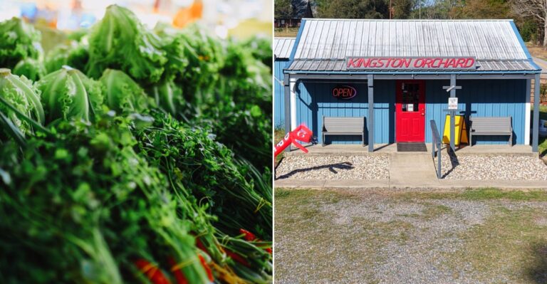 These 10 Louisiana Farm Stands Are Completely Worth A Weekend Drive This Season