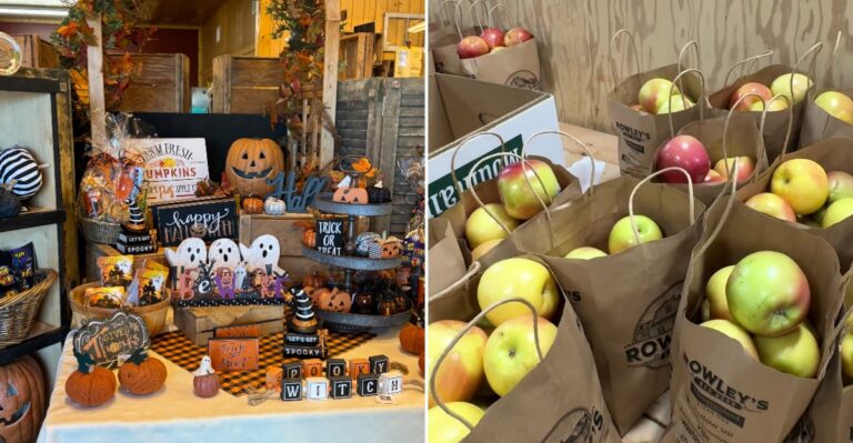 This Utah Farm Makes Fresh Apple Ice Cream And Has Animals Waiting Outside