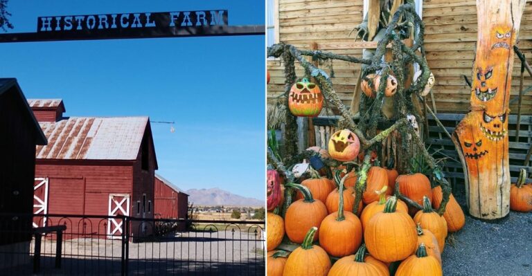 13 Utah Harvest Festivals Worth Planning A Fall Road Trip Around In 2026