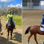 BREC Farr Park Equestrian Center