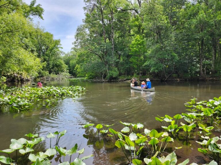 9 Florida Canoe Trails Where You Can Drift Beneath a Canopy of Ancient Oaks