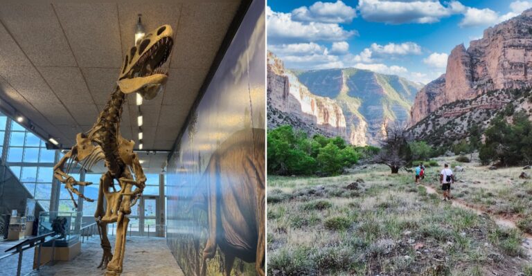 There’s A Utah National Monument Where You Can Raft The Green River And See 150-Million-Year-Old Dinosaur Fossils