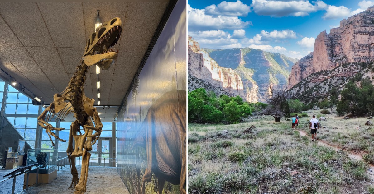 There’s A Utah National Monument Where You Can Raft The Green River And See 150-Million-Year-Old Dinosaur Fossils
