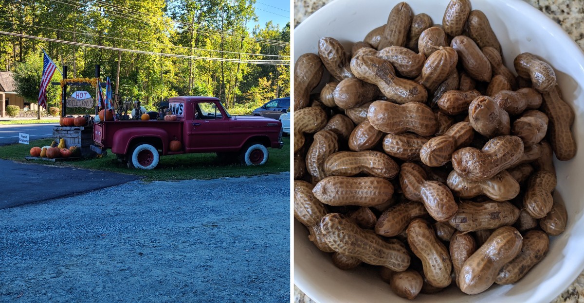 This North Carolina Roadside Peanut Stand Keeps Regulars Coming Back Rain Or Shine
