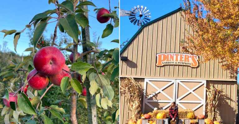 13 Iowa Farm Markets Packed With Fresh Apples And Baked Treats In September