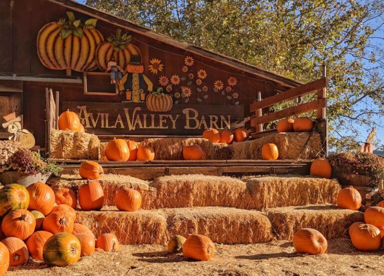 8 Unassuming California Roadside Fruit Stands Where You Fill A Bag With Sun-Warmed Peaches