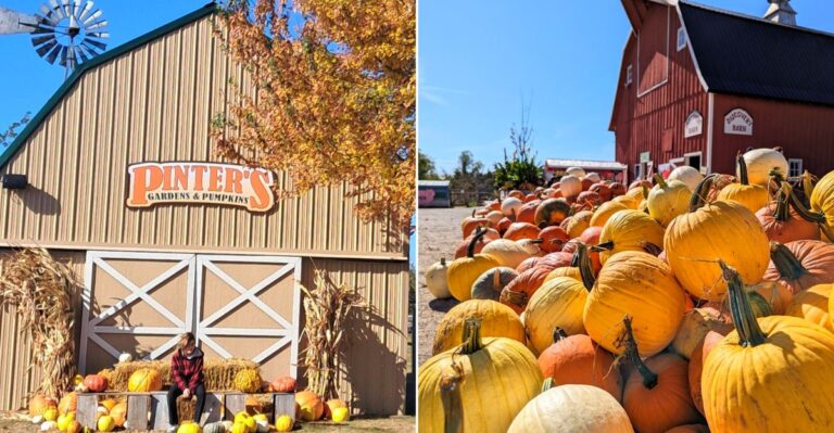 10 Iowa Farm Bakeries That Start Feeling Like Fall In September