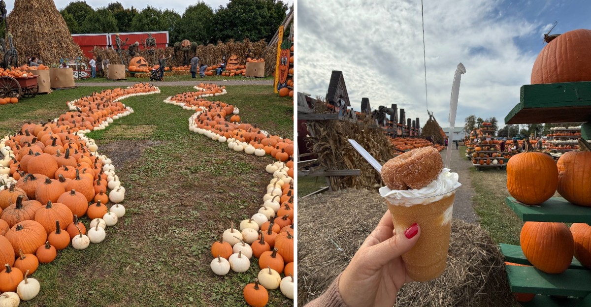 This New York Farm Turns Into A Giant Fall Festival Every Weekend Through October