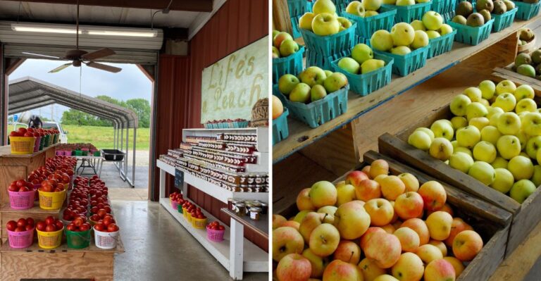 This Tennessee Orchard Stand Makes Apple Butter Worth Skipping The Grocery Store For