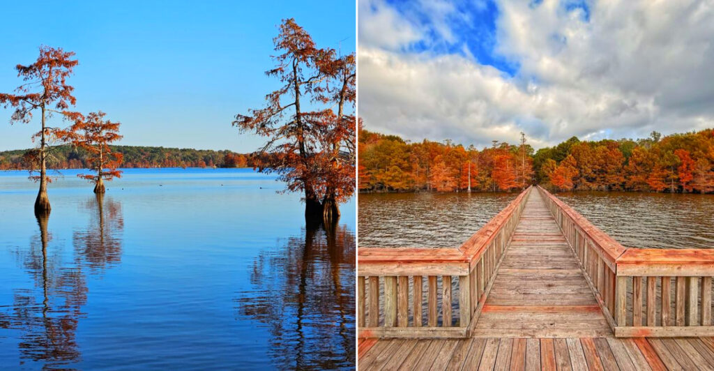 Lake D’Arbonne State Park