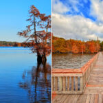 Lake D’Arbonne State Park