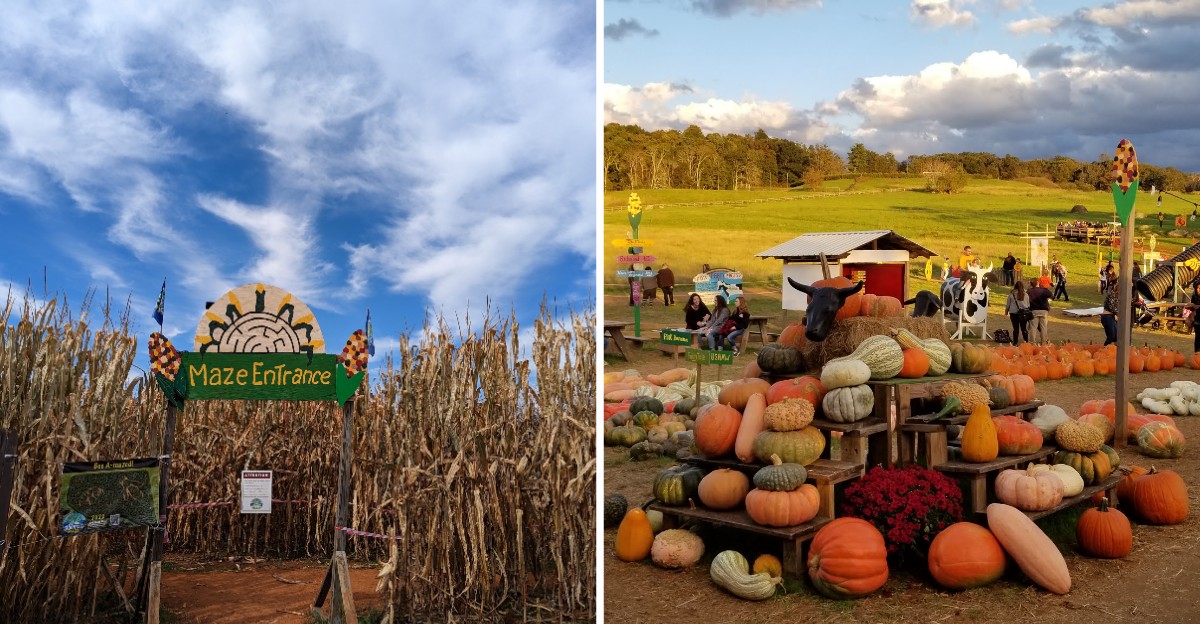 This Virginia Mountain Community Turns Into A Giant Pumpkin-Filled Festival Every Fall