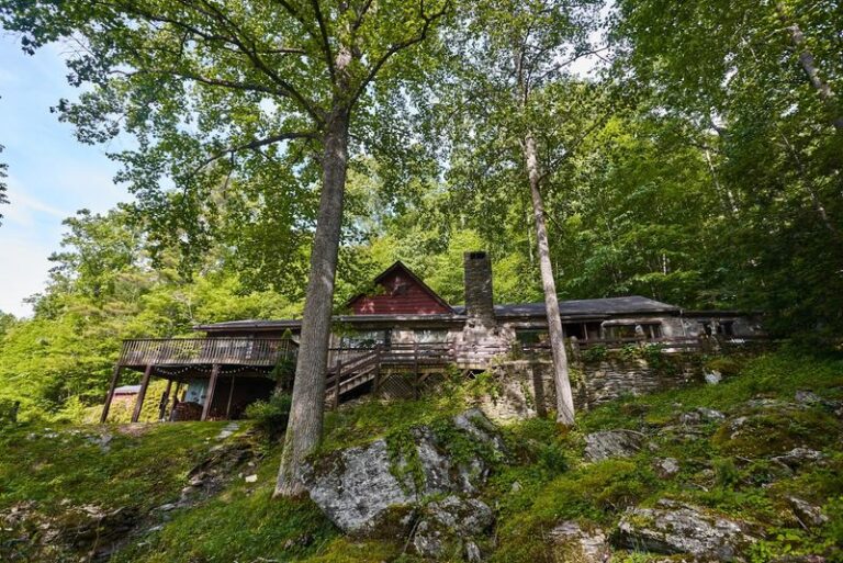 This North Carolina Mountain Tavern Grills Bison Burgers Worth Winding Up The Ridge For