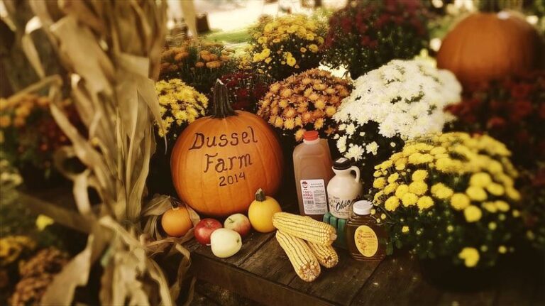 9 Ohio Roadside Farm Stands Where the Sweet Corn Is Fresh