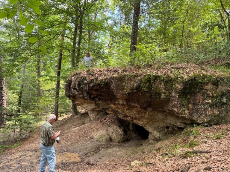 This Little-Known Louisiana Cave Is A Peaceful, Off-The-Beaten-Path Spot Worth Exploring