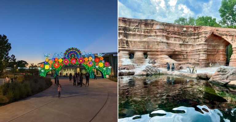 This Kansas Zoo Is Among The Most Impressive In America