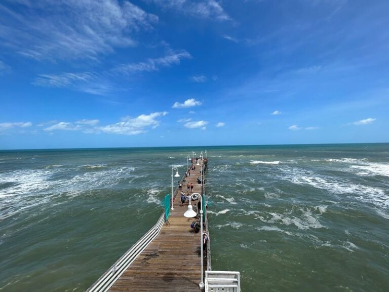 9 Florida Wildlife Boardwalks Where You Can Watch Wading Birds Stalk the Shallows at Sunset