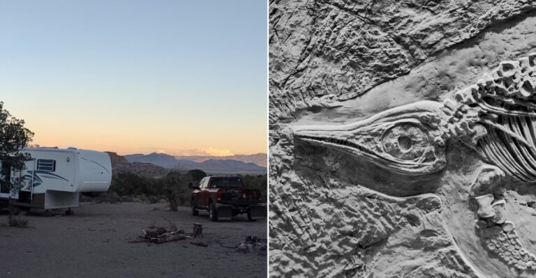 This Free Utah Fossil Site Lets You Dig For 485-Million-Year-Old Trilobites And Keep Them