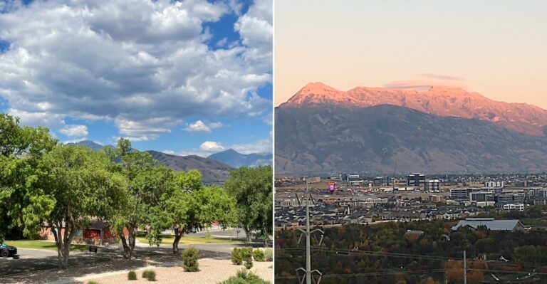 What Happens To Utah’s Rattlesnakes When The Autumn Leaves Start Falling