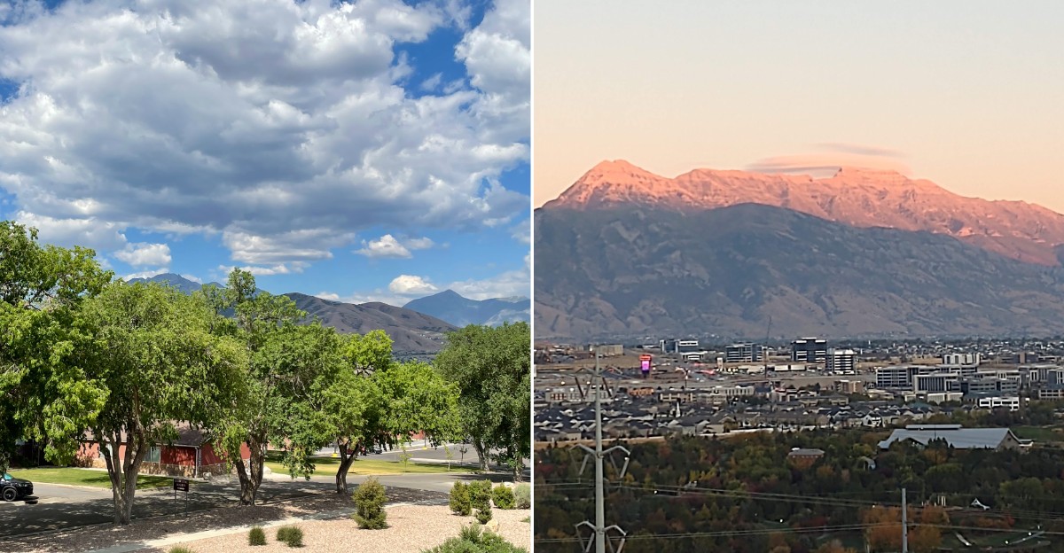 What Happens To Utah’s Rattlesnakes When The Autumn Leaves Start Falling