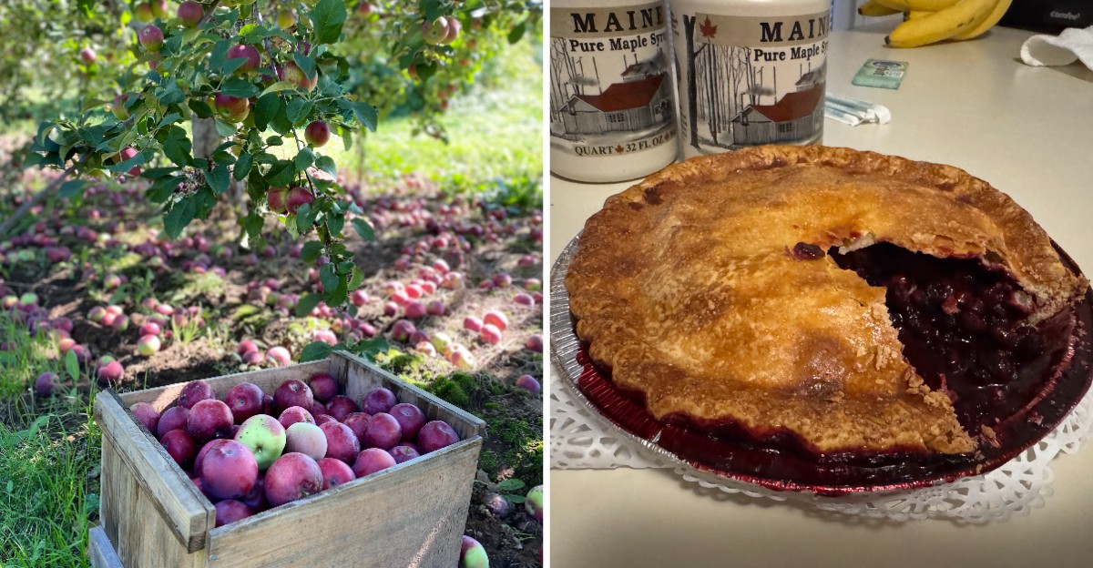 This Maine Farm Store Turns Its Harvest Into Homemade Jams, Pies And Pantry Favorites
