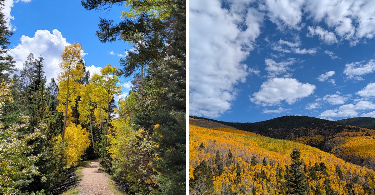 This Gorgeous New Mexico Trail Is Basically Heaven On Earth In The Fall