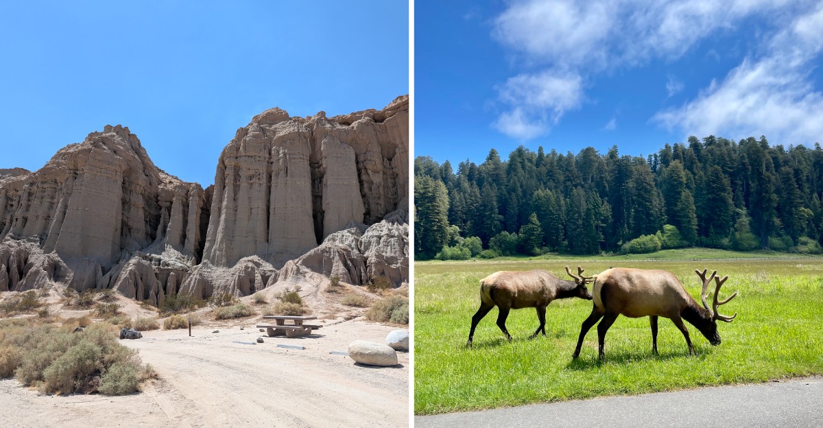 11 California State Parks With Scenic Drives Worth Taking Even If You Never Leave The Car