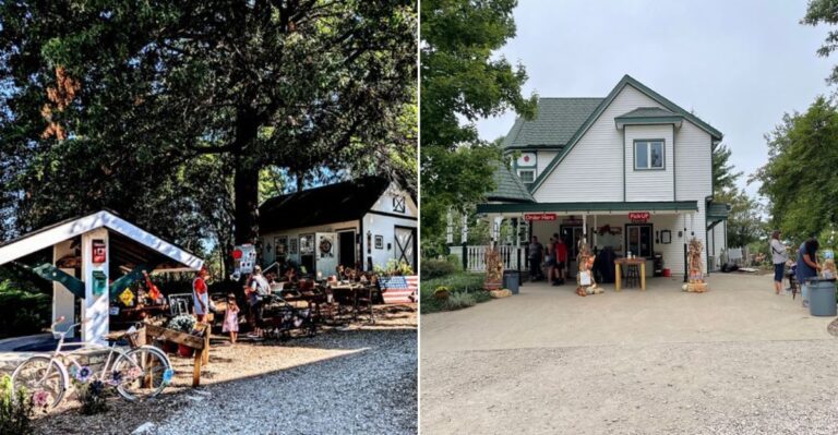 This Kansas Apple Orchard Makes Cider Donuts People Drive Miles To Eat