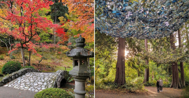 This Seattle, Washington Arboretum Hides Japanese Maples, Woodland Trails And Seasonal Color