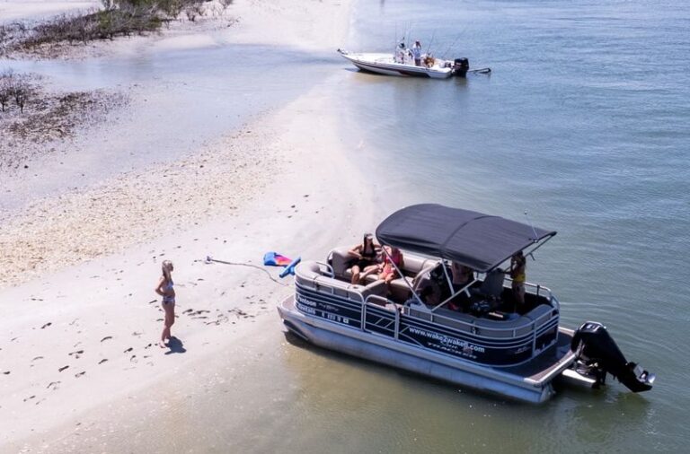 9 Florida Boat Tours Where You Can Watch Dolphins Surf the Wake Beside You