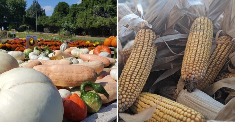 This Virginia Roadside Produce Stand Has Summer Sweet Corn Locals Know Exactly When To Find