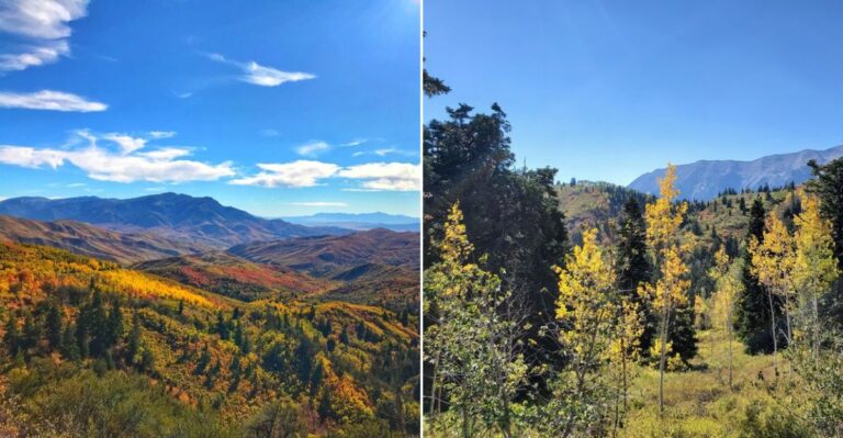 This Utah Road Trip Reveals Miles Of Stunning Fall Foliage Away From The Crowds