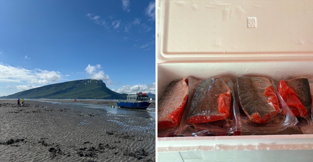 This Alaska Seafood Shop Turns Wild-Caught Salmon Into Candy Visitors Can’t Resist Shipping Home